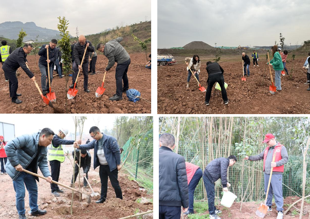 建設(shè)管理部黨總支組織開展植樹活動3.png